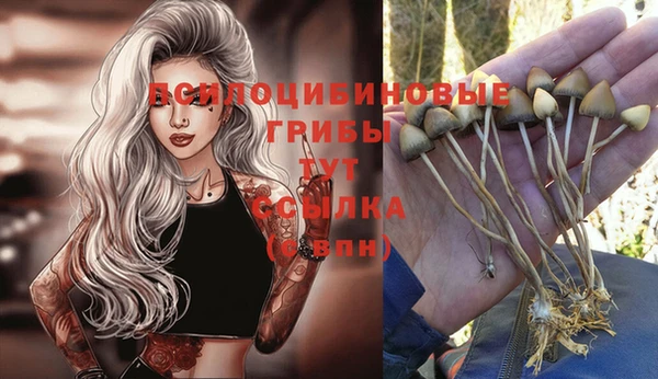 крисы Бугульма