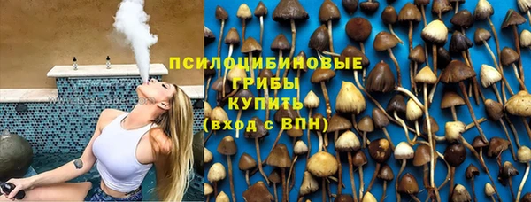 крисы Бугульма