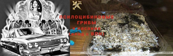 крисы Бугульма