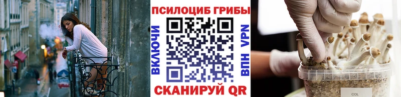 Псилоцибиновые грибы ЛСД  Купить  Бугульма 